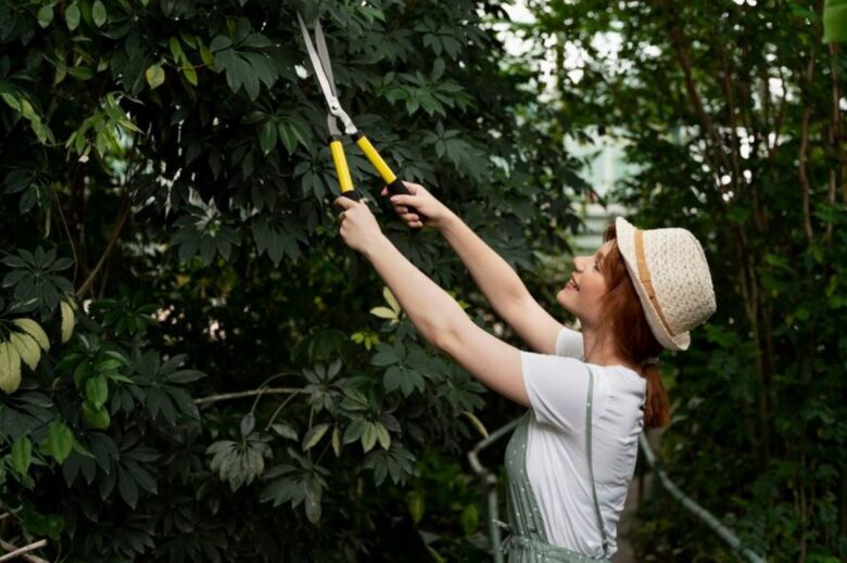 free hedge trimming estimate