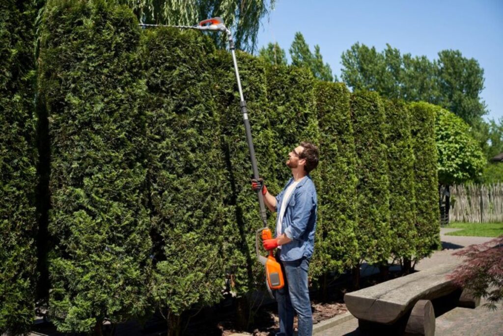 hedge pruning services near me
