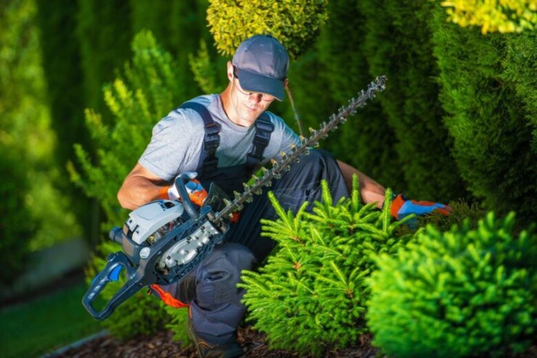 hedge pruning services near me