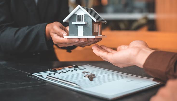 Are Property Buyers Meant to Worry About Pest and Termite Control? A Due-Diligence Overview

